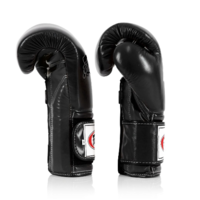 FAIRTEX - "Heavy Hitter" Mexican Style Boxing Gloves (BGV9) - Black/14oz