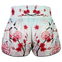 TUFF - 'The Red Crane' High-Cut Retro Muay Thai Shorts - Small