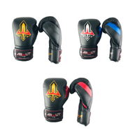 ARWUT - BG2 Boxing Gloves