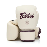 FAIRTEX - Leather Boxing Gloves (BGV16) 