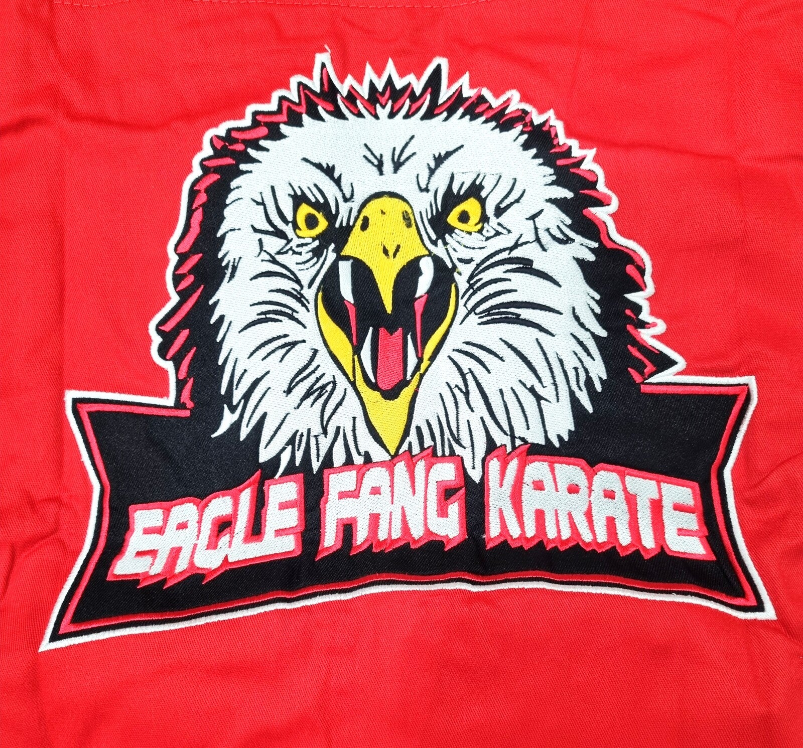 Eagle Fang Karate logo on a red background