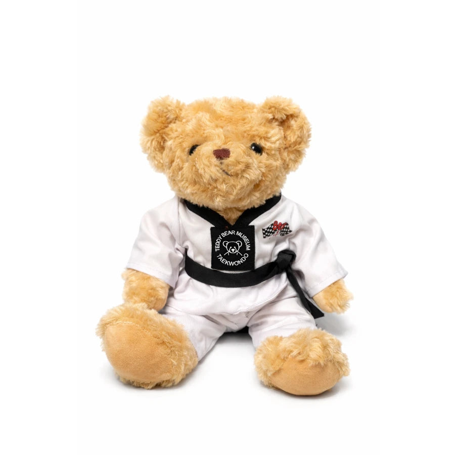 Teddy bear in a martial arts uniform with a black belt on a white background