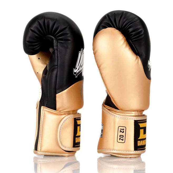 Pair of black and gold boxing gloves on a white background