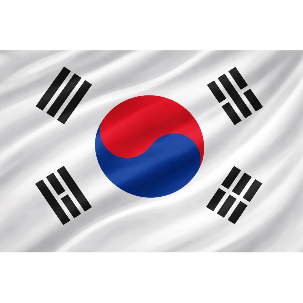 Flag of South Korea with a red and blue circle and black symbols on a white background