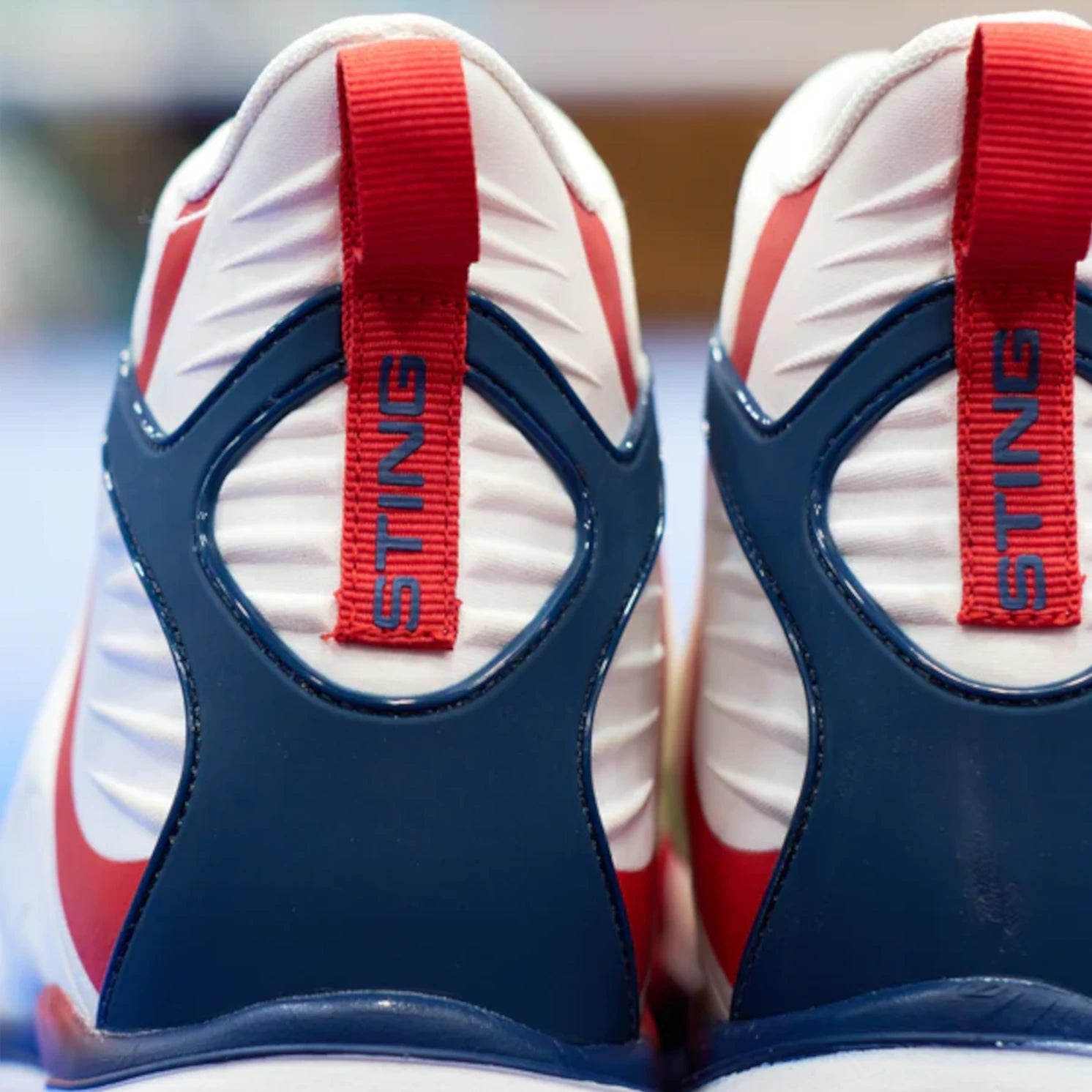 Close-up of a pair of boxing shoes with red and blue accents and 'STING' branding.